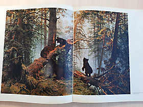 Bears